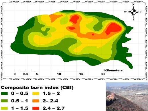 A Study of the Effectiveness of the Composite Burn Index (CBI) in Assessing the Severity of Forest Soil Fires in Latakia Governorate
