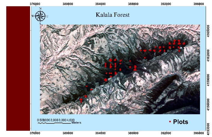 نمذجة الحجم، المساحة القاعدية والكثافة الشجرية في غابة كلالة في شمالي إيران باستخدام بيانات القمر الاصطناعي Sentinel-2 وخوارزمية Random forest
