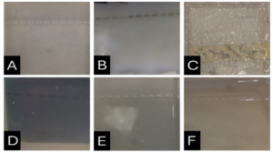 Fig. 1. (A) Agarose 1% gel treated with TAE buffer, (B) 12 % Corn starch gel treated with TAE buffer, (C) 1% Animal gelatin gel treated with TAE buffer, (D) 1 % agar - animal gelatin mixture treated with TAE buffer, (E) 1 % Agar gel treated with TAE buffer, (F) 1.5 % Gel made from treated food grade agar-agar gel with sodium carbonate, sodium hydroxide, sodium chloride.