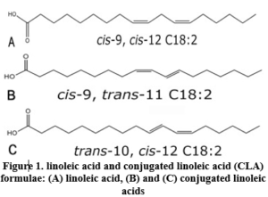 Figure 1. linoleic acid and conjugated linoleic acid (CLA) formulae: (A) linoleic acid, (B) and (C) conjugated linoleic acids