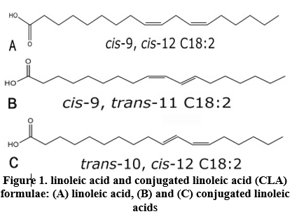 Determination of Trans-Fatty Acid Levels in Selected Syrian Food Products