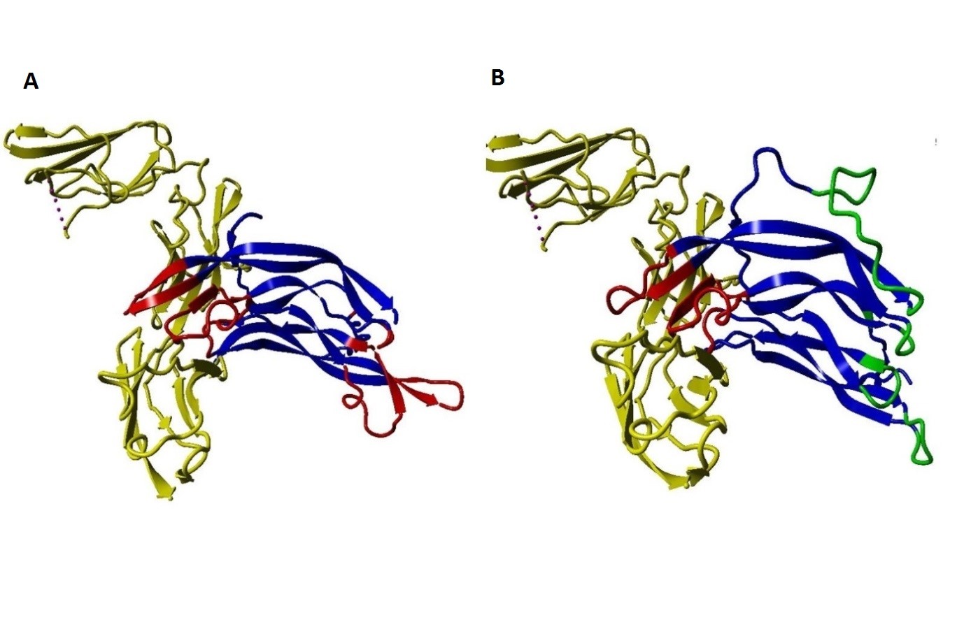 Design, Expression, and Inhibitory Effects of Antagonistic Single-Chain Platelet-Derived Growth Factor on Lung Cancer Cells