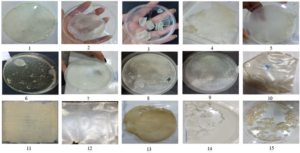 Fig3. Images of different bioplastic mixtures results