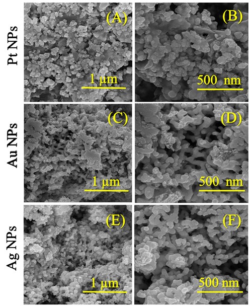 Figure .3 FESEM micrographs of (A,B) Pt NPs, (C&D) Au NPs and (E&F) Ag NPs at 1µm and 500 nm