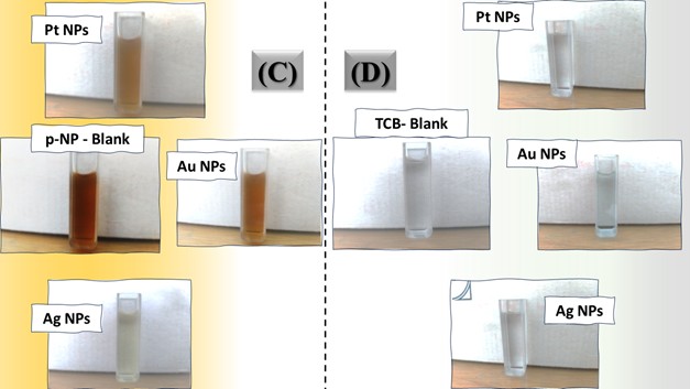 Figure 6. Digital photos of color changes in contaminant solutions (at a concentration of 10 ppm (A) MB, (B) Rh B, (C) p-NP and (D) TCB) on the surface of the three nanocatalysts (Pt NPs, Au NPs and Ag NPs)